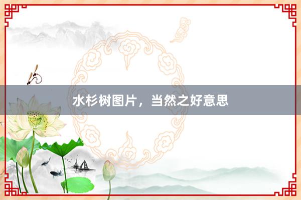 水杉树图片，当然之好意思