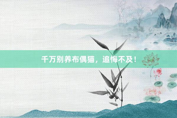 千万别养布偶猫，追悔不及！